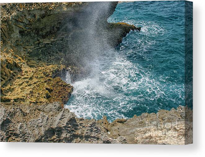 Ocean Canvas Print featuring the photograph Waves crushing on the shore by Patricia Hofmeester