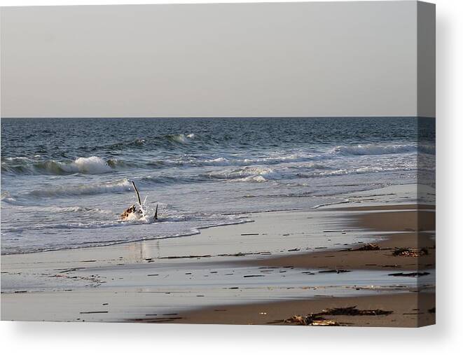 Water Canvas Print featuring the photograph Waves on Driftwood by Robert Banach