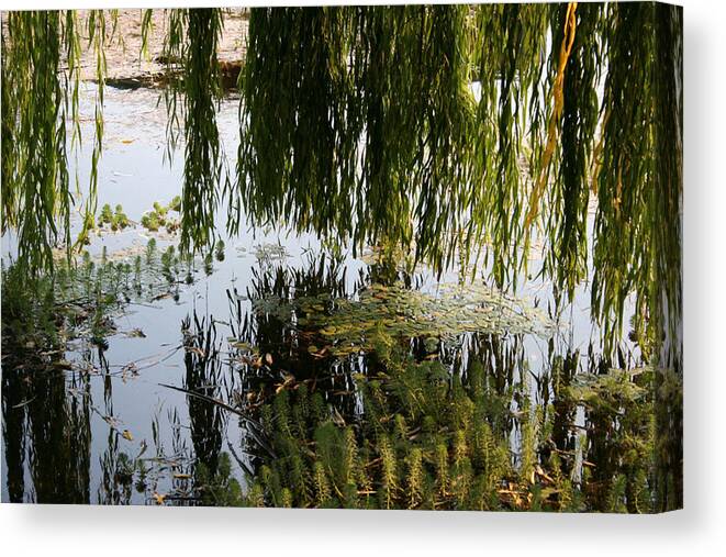 Weeping Willow Canvas Print featuring the photograph Weeping Willow As Above So Below by Holly Ethan