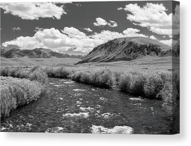 5dii Canvas Print featuring the photograph West Fork, Big Lost River by Mark Mille