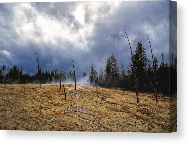 Wyoming Canvas Print featuring the photograph West Thumb Geyser Basin  by Lars Lentz
