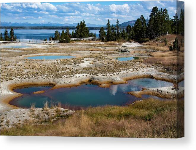 Geyser Canvas Print featuring the photograph West Thumb Geyser Basin, Yellowstone by Aidan Moran