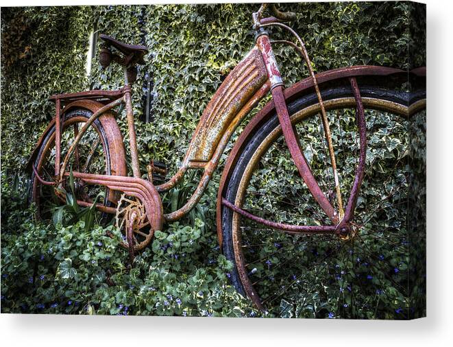 American Canvas Print featuring the photograph Western Flyer by Debra and Dave Vanderlaan