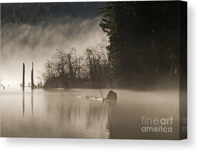 Morning Canvas Print featuring the photograph Westwood Lake by Inge Riis McDonald