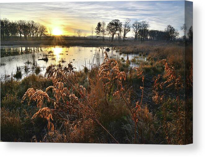 Glacial Park Canvas Print featuring the photograph Wetland Sunrise in Hackmatach National Wildlife Refuge by Ray Mathis