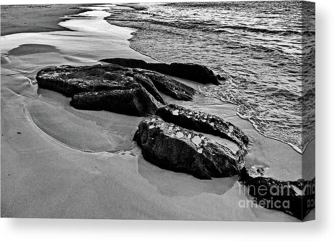 Digital Black And White Photo Canvas Print featuring the photograph Whale Rocks BW by Tim Richards