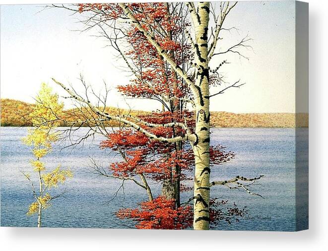 Autumn Canvas Print featuring the painting What a View. by Conrad Mieschke