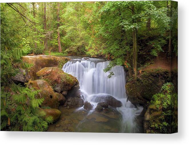 Whatcom Falls Canvas Print featuring the photograph Whatcom Falls by David Gn