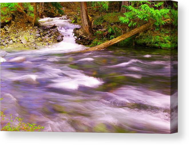 Rivers Canvas Print featuring the photograph Where the stream meets the river by Jeff Swan