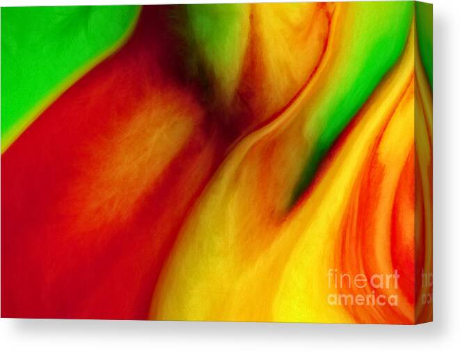 Abstract Canvas Print featuring the photograph Where Time Stands Still by Patti Schulze
