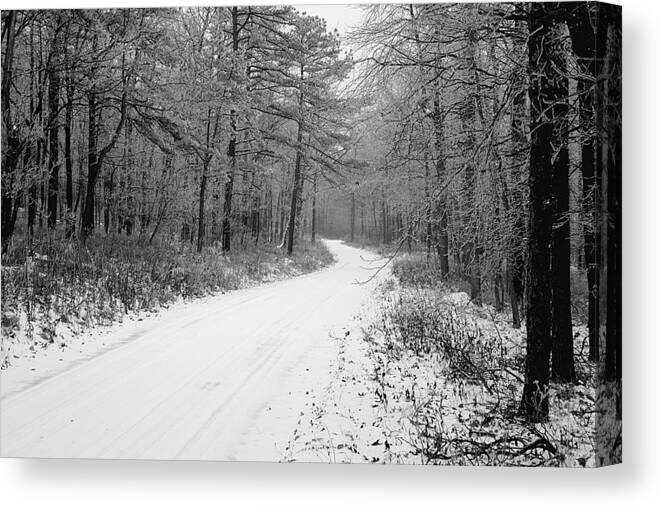 Winter Canvas Print featuring the photograph Where will it lead by Jean Macaluso