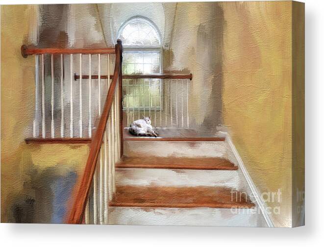 Step Canvas Print featuring the digital art Where's Kitty by Lois Bryan