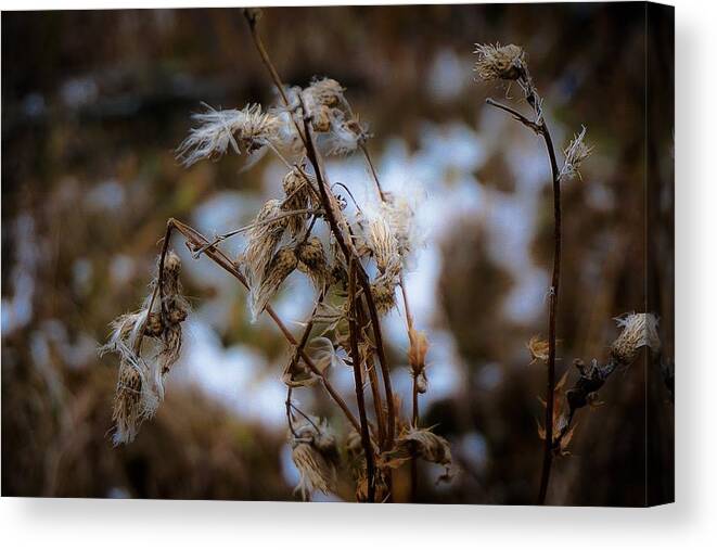 Fall Landscape Photograph Canvas Print featuring the photograph Whisp of Winter by Desmond Raymond