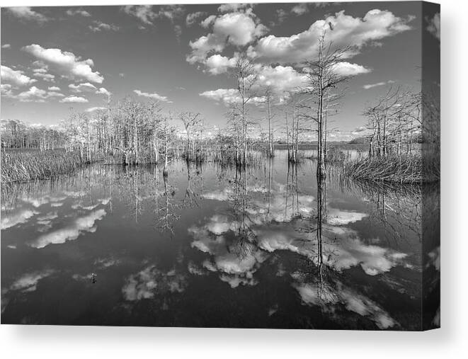 Clouds Canvas Print featuring the photograph White Clouds over the Everglades Black and White by Debra and Dave Vanderlaan