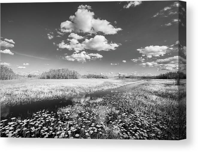 Clouds Canvas Print featuring the photograph White Clouds over the Marsh in Black and White by Debra and Dave Vanderlaan