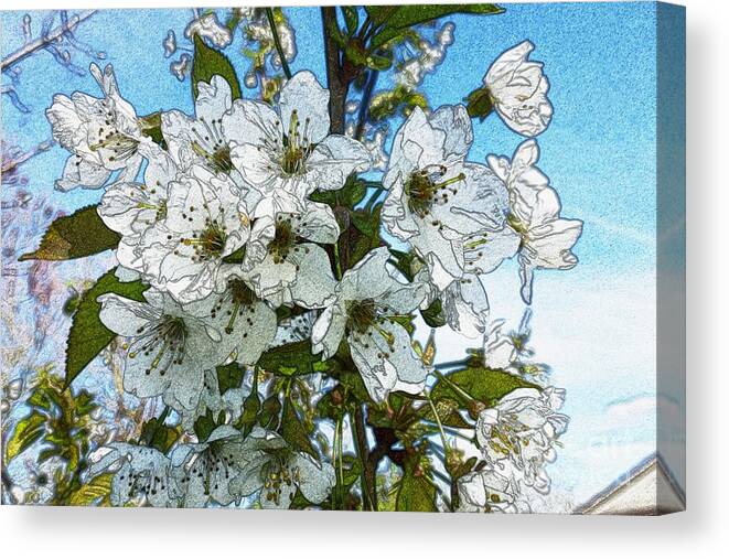 Bloom Canvas Print featuring the photograph White Flowers - Variation 1 by Jean Bernard Roussilhe