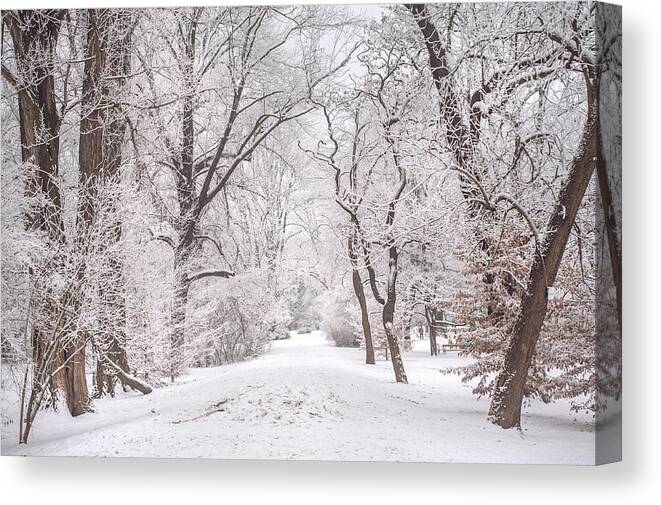 Winter Canvas Print featuring the photograph White Path to Winter Dream by Jenny Rainbow