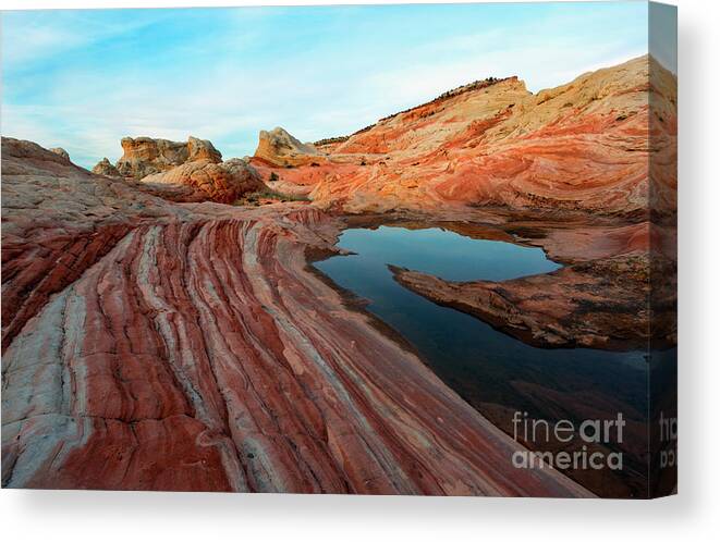 White Pocket Canvas Print featuring the photograph White Pocket Oasis by Michael Dawson