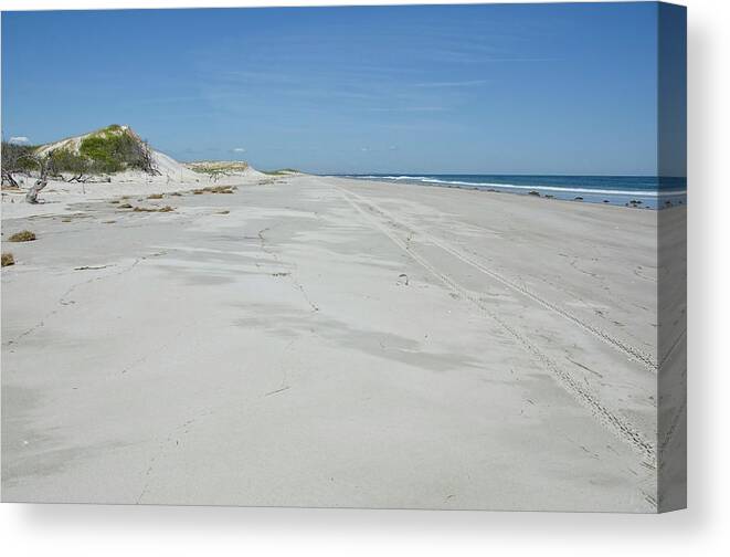 Beach Canvas Print featuring the photograph White Sandy Beach by Donna Doherty