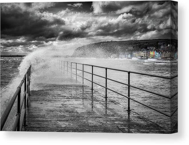 Whitehead Canvas Print featuring the photograph Whitehead with a splash of colour by Nigel R Bell