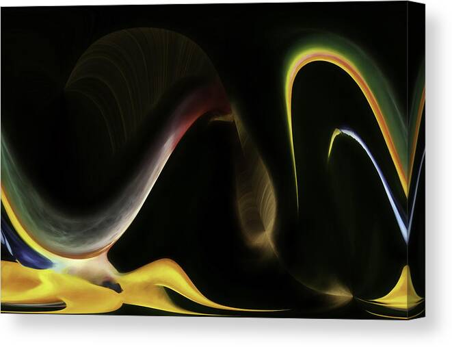 Abstract Canvas Print featuring the photograph Whoopi do by Maria Coulson