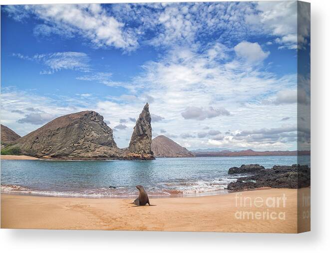 Galapagos Canvas Print featuring the photograph Wild Blue Places by Becqi Sherman