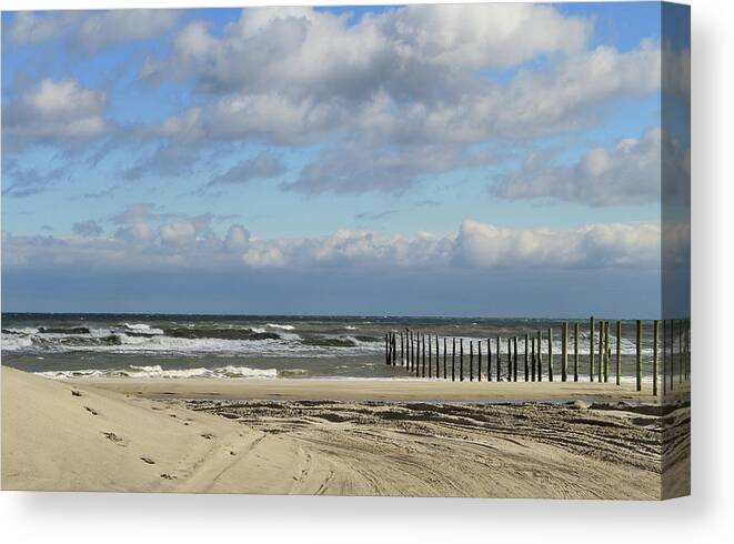 Outer Banks Canvas Print featuring the photograph Wild Horse Beach by Karen Ruhl