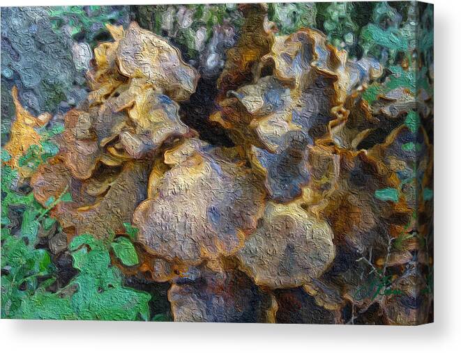 Wild Brown Mushroom Canvas Print featuring the painting Wild mushrooms by Joan Reese