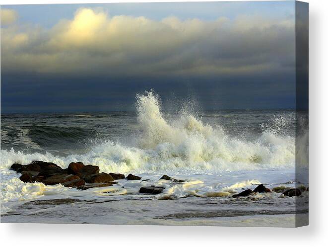 Waves Canvas Print featuring the photograph Wild Waves by Suzanne DeGeorge