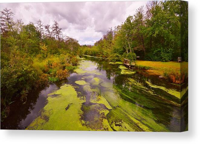 Featured Canvas Print featuring the photograph Wilderness Creek in the Autumn Woods by Stacie Siemsen