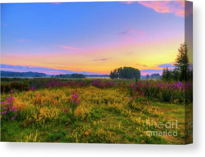Atmosphere Canvas Print featuring the photograph Wildflower meadow by Veikko Suikkanen