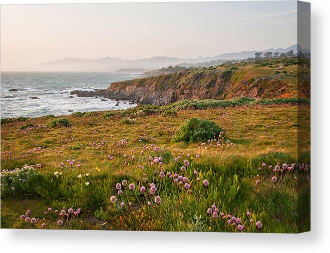 Fiscalini Ranch Preserve Canvas Print featuring the photograph Wildflowers and Fog on the Fiscalini Preserve by Lynn Bauer
