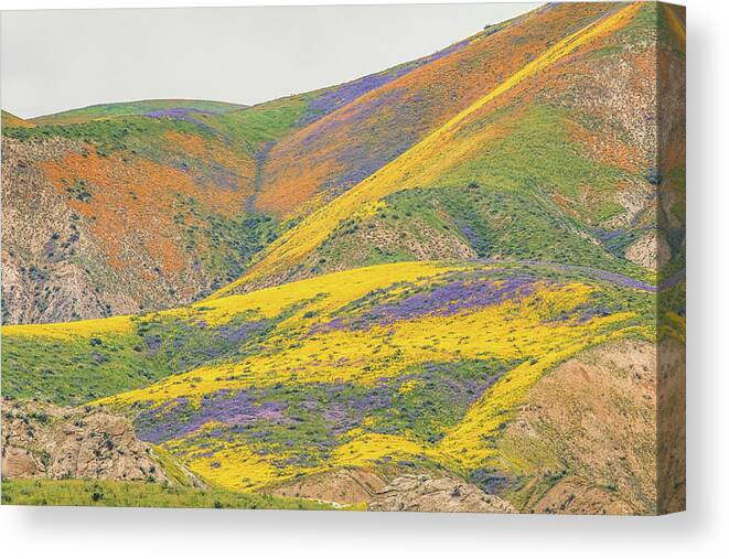 California Canvas Print featuring the photograph Wildflowers at the Summit by Marc Crumpler