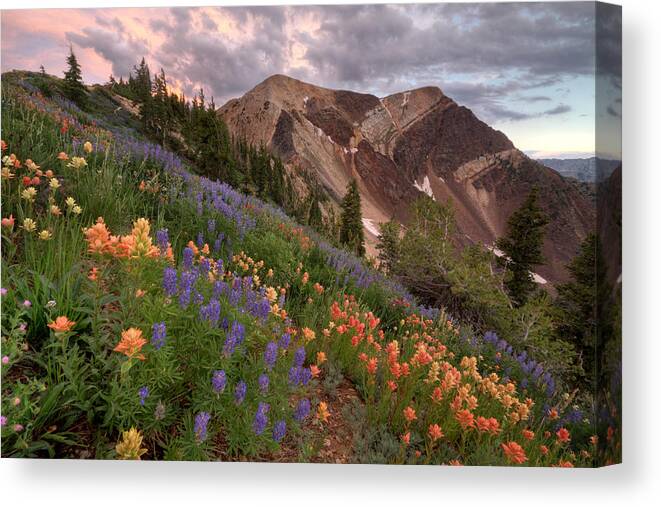 Landscape Canvas Print featuring the photograph Wildflowers with Twin Peaks at Sunset by Brett Pelletier