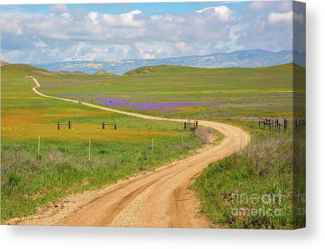 Carrizo Canvas Print featuring the photograph Winding Dirt Road by Mimi Ditchie