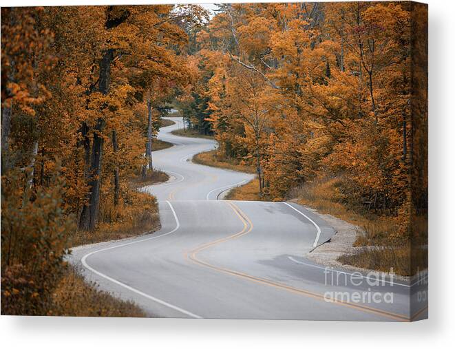 Winding Canvas Print featuring the photograph Winding Road by Timothy Johnson