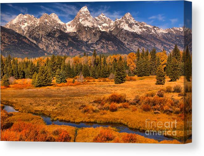 Blacktail Ponds Canvas Print featuring the photograph WInding Through The Fall Willows by Adam Jewell