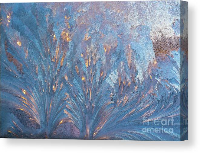 Cheryl Baxter Photography Canvas Print featuring the photograph Window Frost At Sunset by Cheryl Baxter