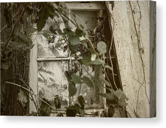 Sharon Popek Canvas Print featuring the photograph Window Less by Sharon Popek