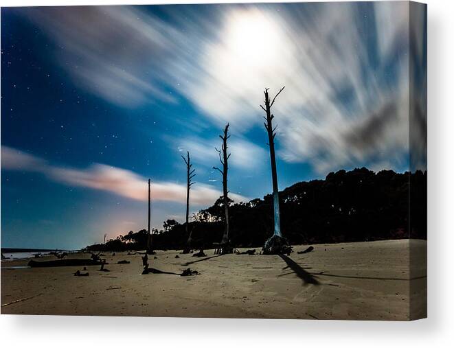 Coast Canvas Print featuring the photograph Winds of Driftwood Beach by Chris Bordeleau