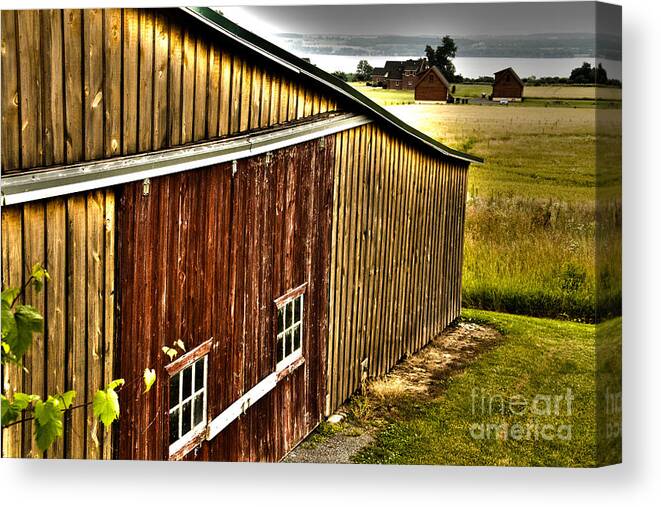 Wine Canvas Print featuring the photograph Wine Barn by William Norton