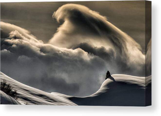 Landscape Canvas Print featuring the photograph Wine Cloud by Grigore Roibu