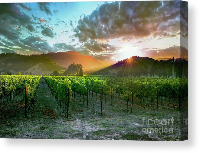 Napa Canvas Print featuring the photograph Wine Country by Jon Neidert