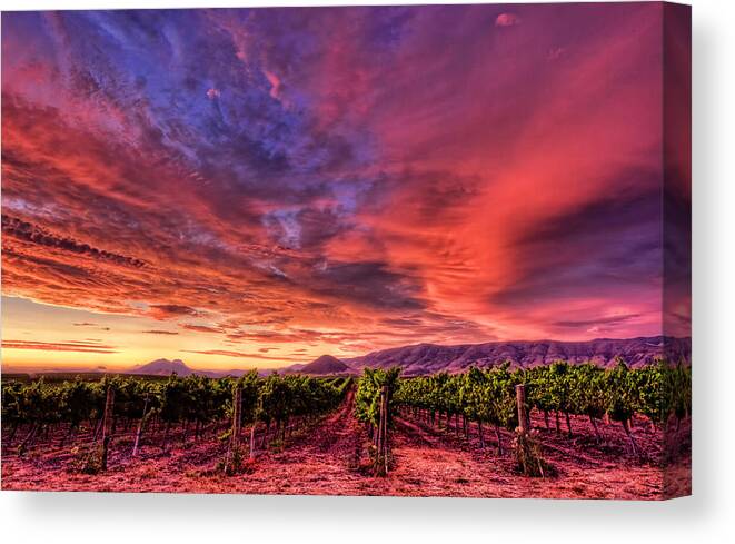 Edna Valley Canvas Print featuring the photograph Wine Country Sunset by Beth Sargent