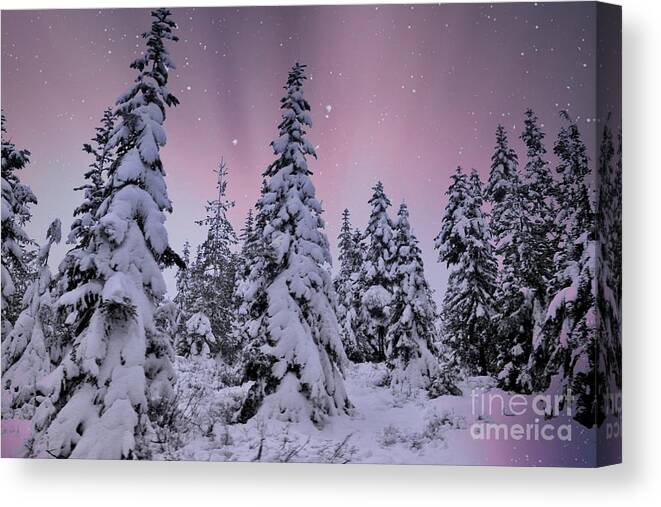 Landscape Canvas Print featuring the photograph Winter Beauty by Sheila Ping
