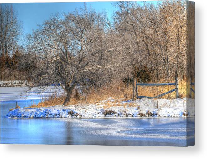 Winter Canvas Print featuring the photograph Winter Blues by J Laughlin