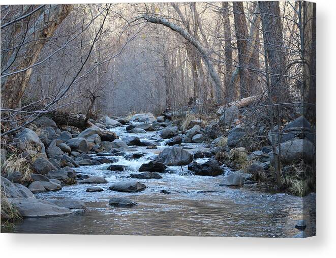 Winter Creek Canvas Print featuring the photograph Winter Creek by Christy Pooschke