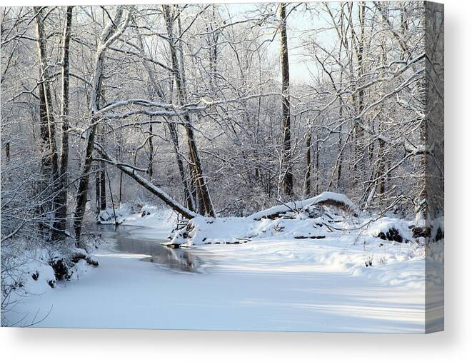 Snow Canvas Print featuring the photograph Winter End by Robert Och