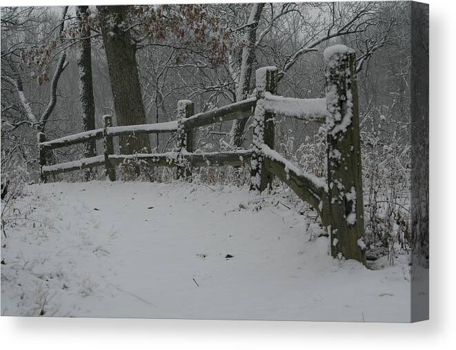 Winter Fence Trail Canvas Print featuring the photograph Winter Fence Trail H by Dylan Punke