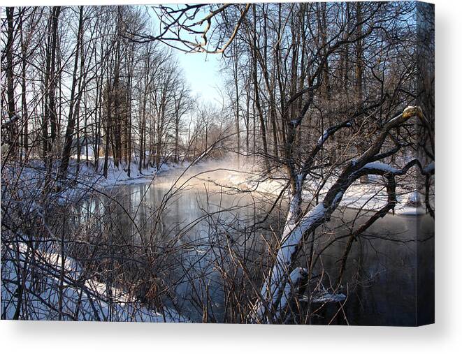 Snow Canvas Print featuring the photograph Winter Frost by Robert Och